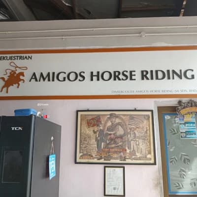 Amigos horse hiding